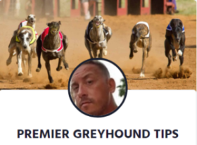 Premier Greyhound Tips